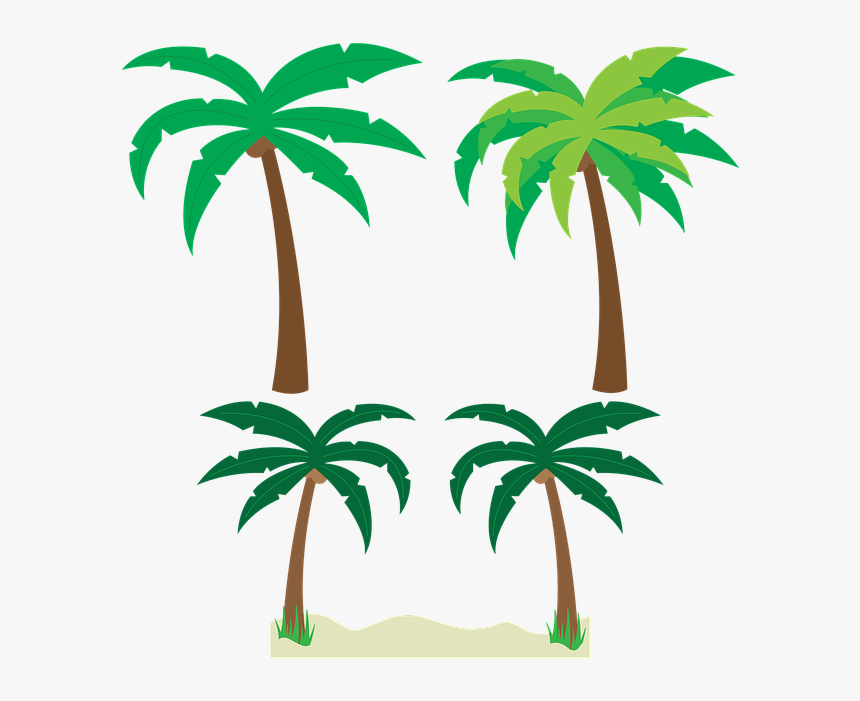Palm Tree Vector Png , Transparent Cartoons - Tropical Palm Trees Clipart, Png Download, Free Download