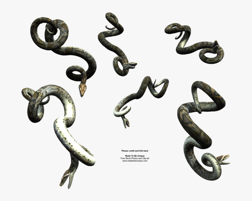 Transparent Hanging Chain Png - Vijay Mahar Snake Png, Png Download, Free Download