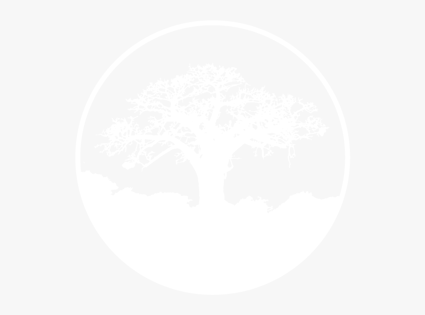 Baobab Media Ltd - Black And White Baobab Tree Png, Transparent Png, Free Download
