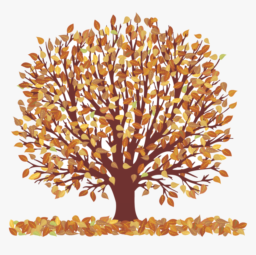 Fall Trees Clipart Transparent Png - Drawing Trees In Autumn, Png Download, Free Download