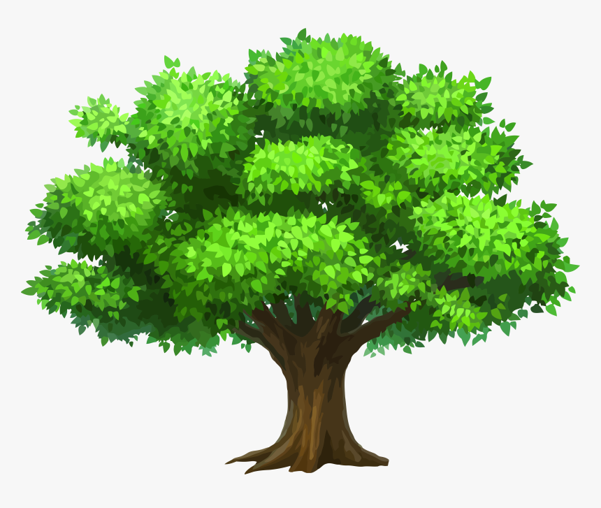 Family Tree Download Png Image - Tree Clipart, Transparent Png, Free Download