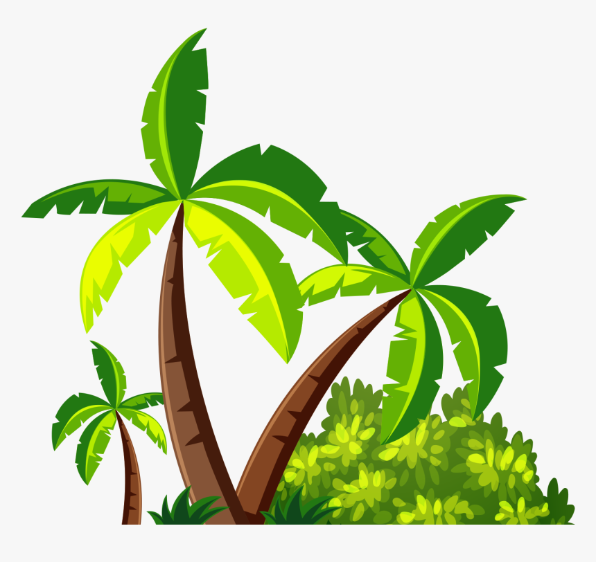 Coconut Tree Clipart Png, Transparent Png, Free Download