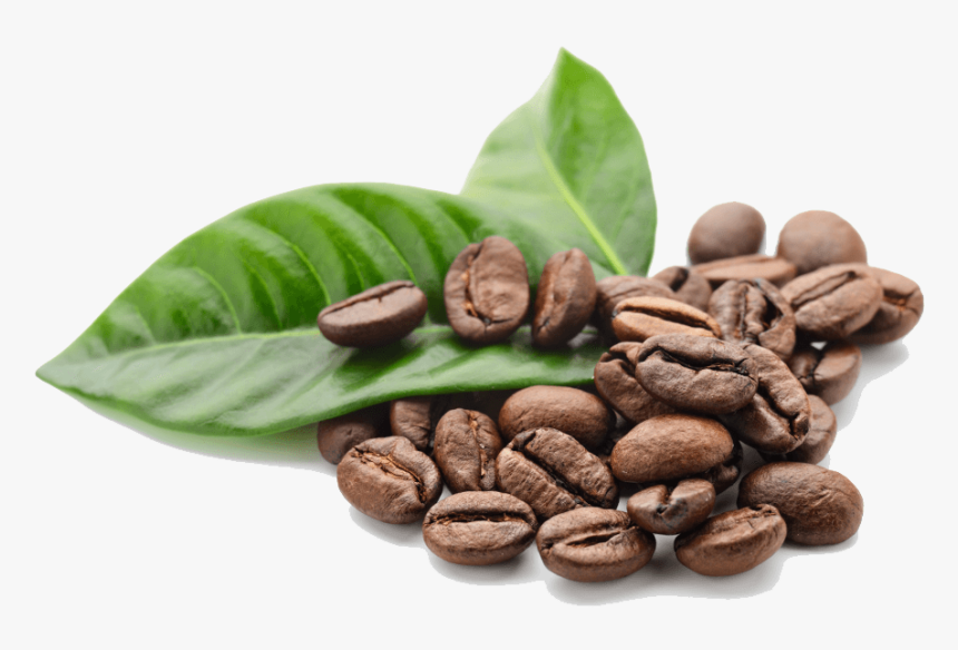 Coffee Beans Leaves - Coffee Beans Png Transparent, Png Download, Free Download