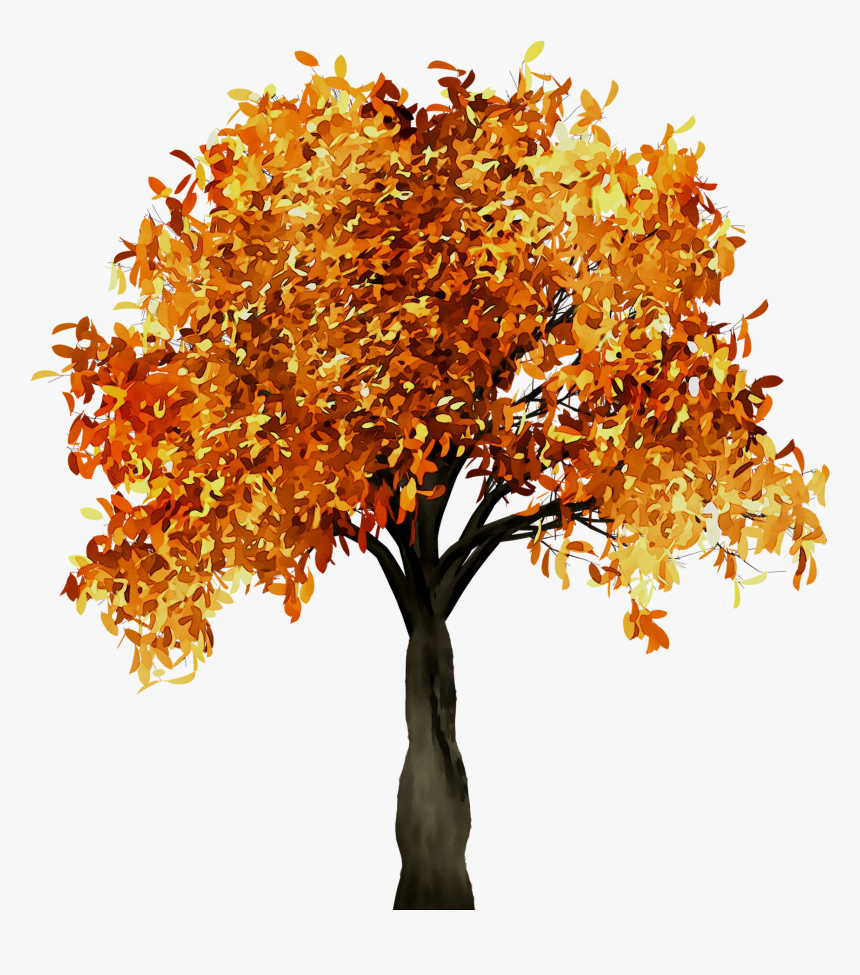 Fall Tree Branch Portable Network Graphics Trunk - Autumn Tree Clipart Png, Transparent Png, Free Download