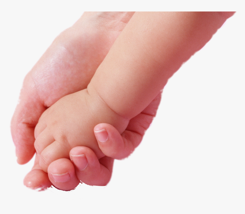 Clip Art Infant Mother Hand Child - Mother Holding Hand Of Baby In Png, Transparent Png, Free Download