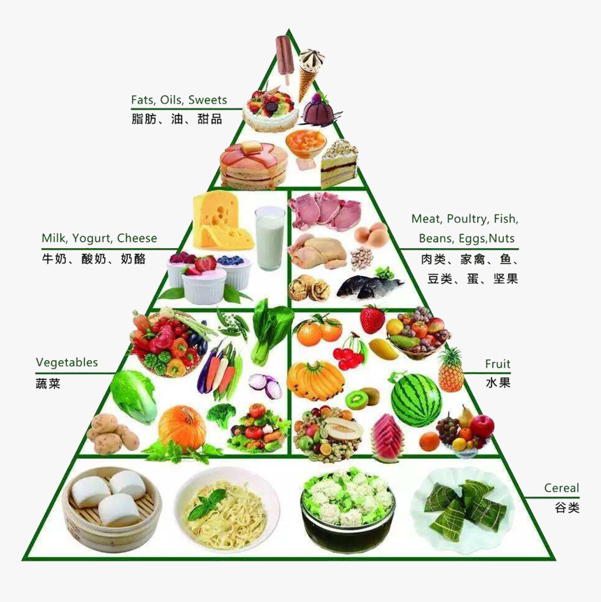 Dietary Supplement Nutrition Healthy - Food Pyramid Png, Transparent Png, Free Download