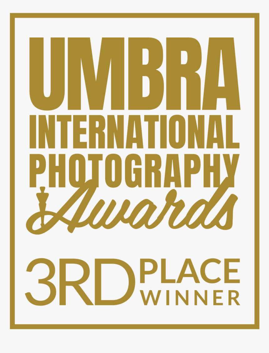 03 Umbra Award Seal 3rd Place Winner Png - Poster, Transparent Png, Free Download