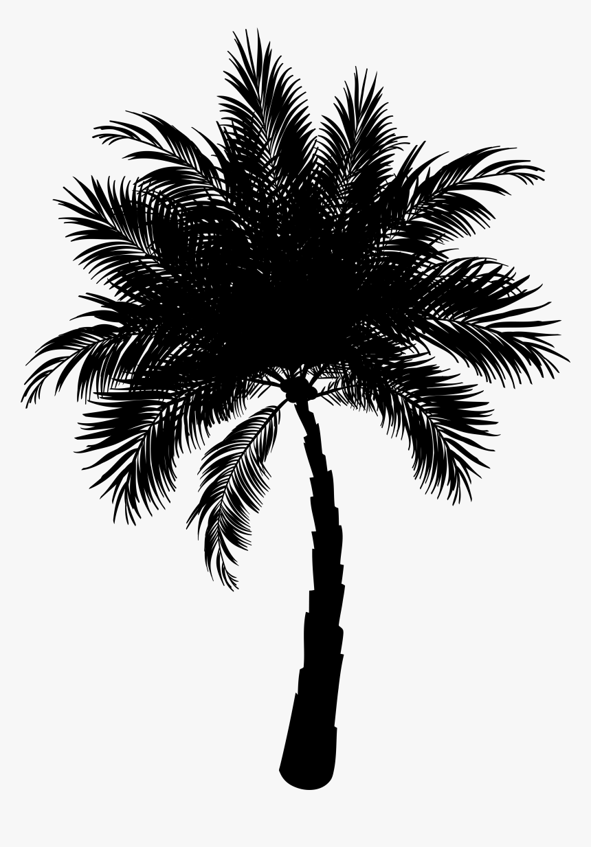 Asian Palmyra Palm Date Palm Vector Graphics Palm Trees - Vector Date Palm Tree, HD Png Download, Free Download