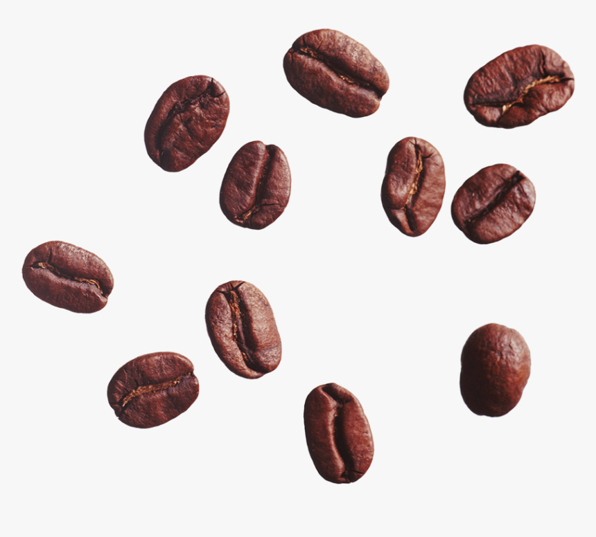 Coffee Bean Cafe Clip Art - Coffee Bean No Background, HD Png Download, Free Download