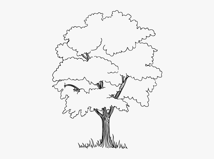 The Trees In The Jungle Coloring Pages - Trees In The Jungle Drawing, HD Png Download, Free Download