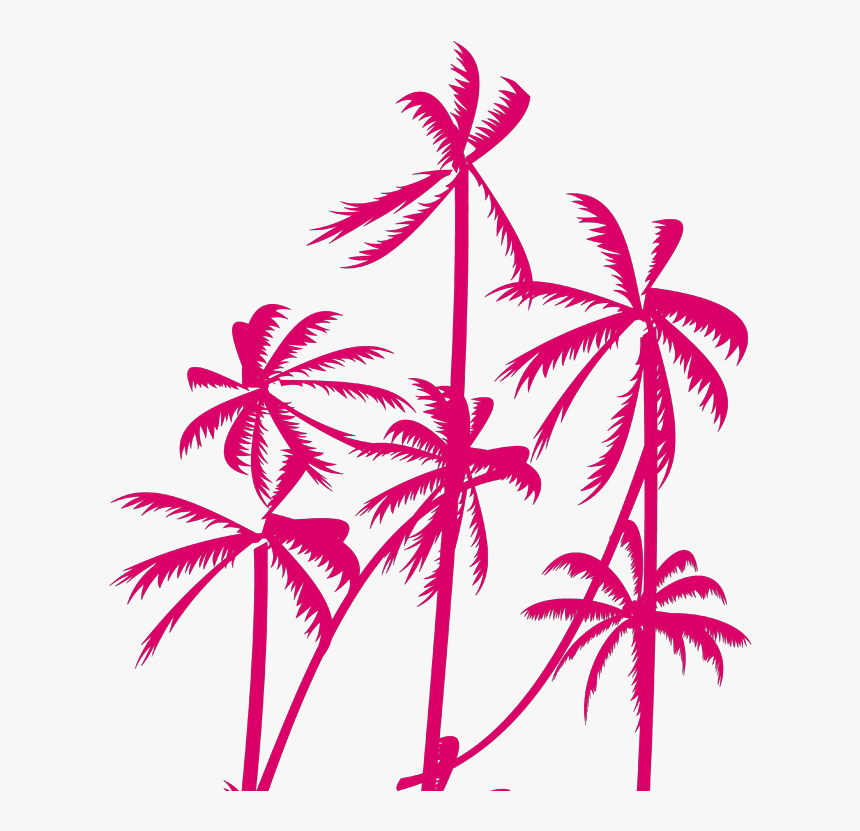 Palm Tree Vector - Illustration, HD Png Download, Free Download