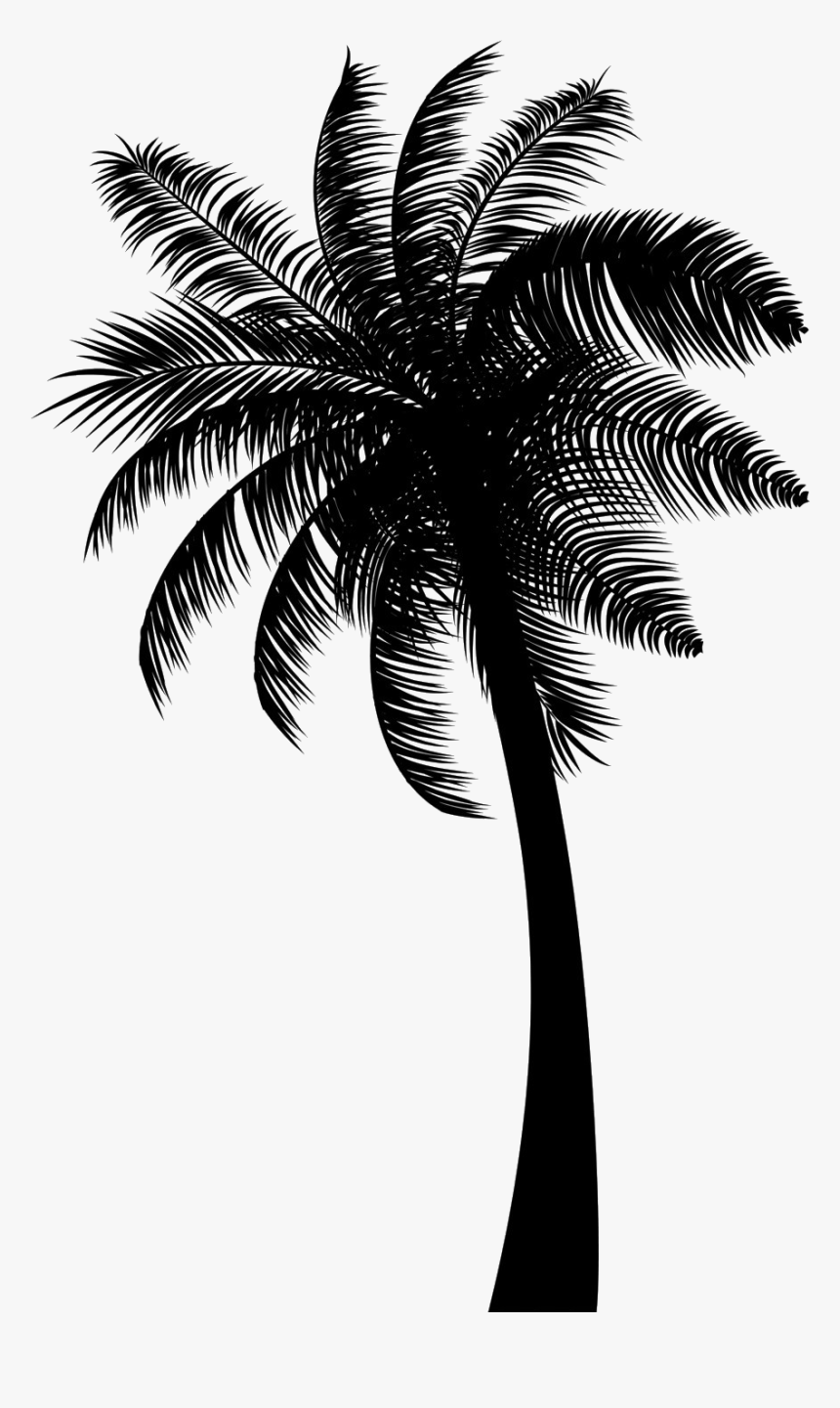 Black Coconut Tree Png Free Download - Coconut Tree Png Black, Transparent Png, Free Download