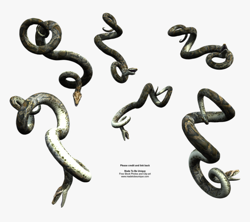 Snake Clipart Realistic - Vijay Mahar Snake Png, Transparent Png, Free Download