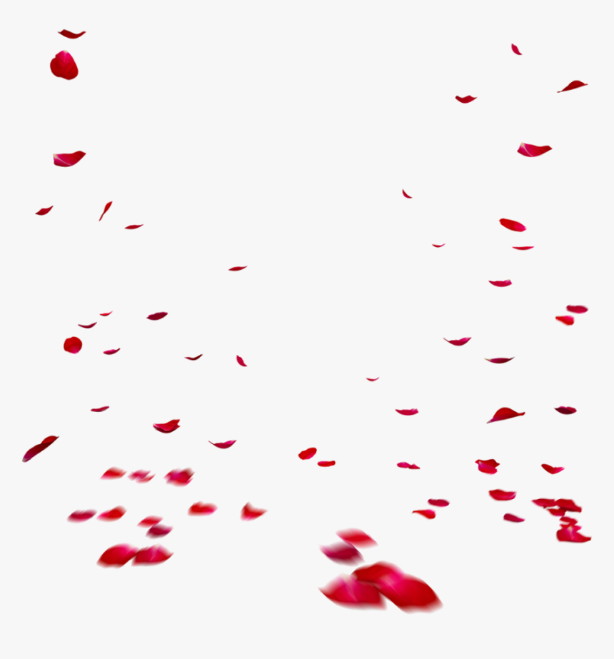Falling Rose Petals Transparent Images Png Illustration- - Red Transparent Falling Rose Petals Png, Png Download, Free Download