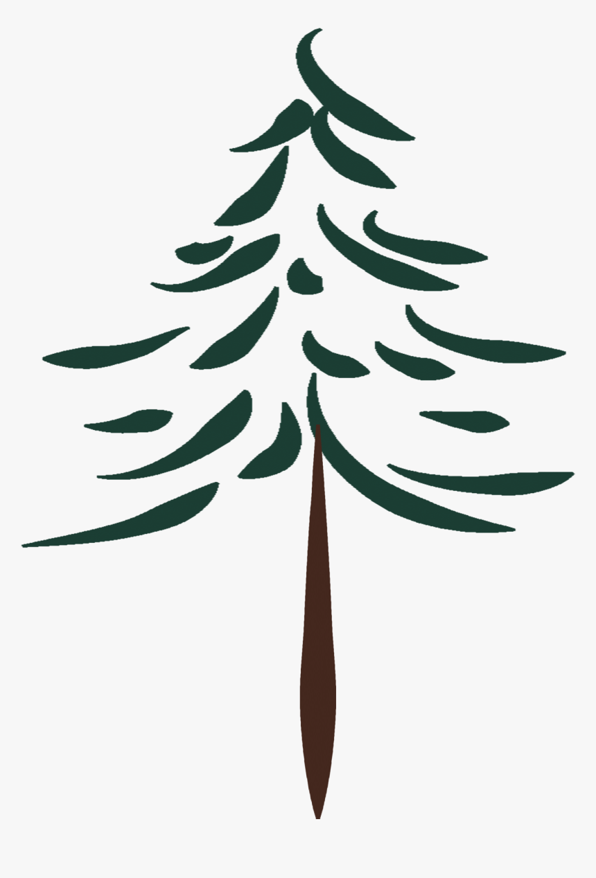 Transparent Tall Pine Tree Png - White Pine, Png Download, Free Download