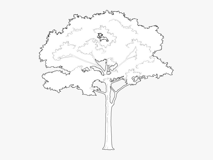 White Tree Png Vector, Transparent Png, Free Download