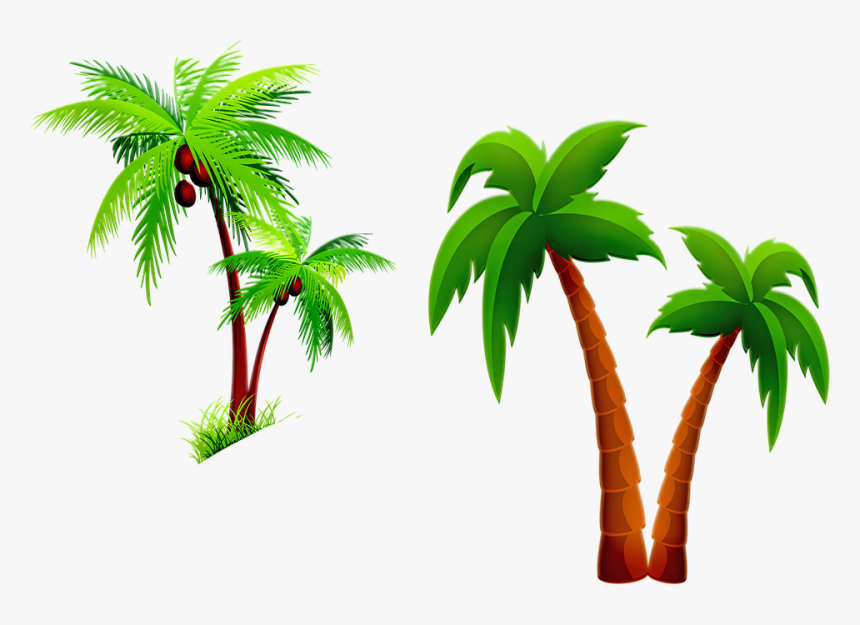 Palm Tree Png Vector, Transparent Png, Free Download