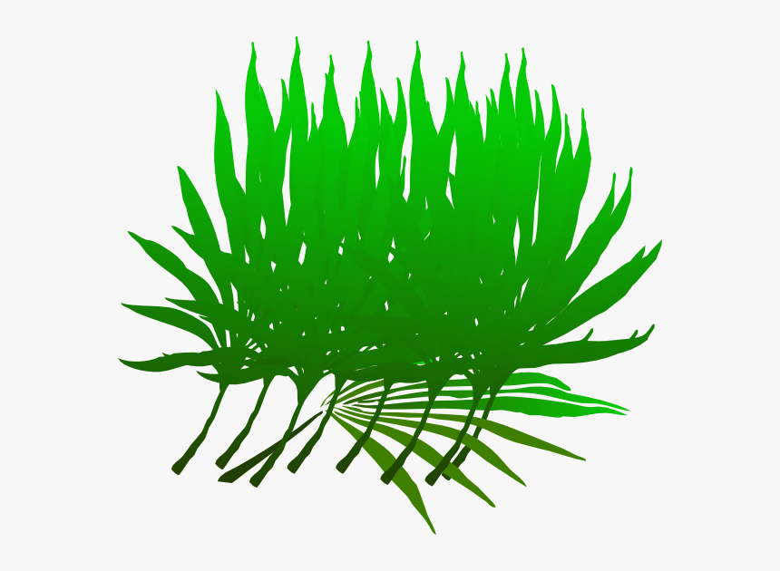 Sunday Branch Clip Art At Clker Com - Palm Frond Clip Art, HD Png Download, Free Download