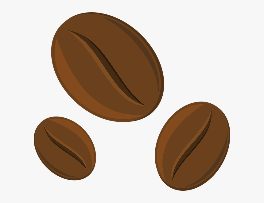 Transparent Coffee Bean Clip Art - Transparent Background Coffee Bean Clipart, HD Png Download, Free Download