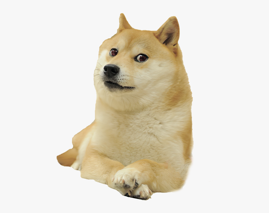 Doge Meme White Background, HD Png Download, Free Download