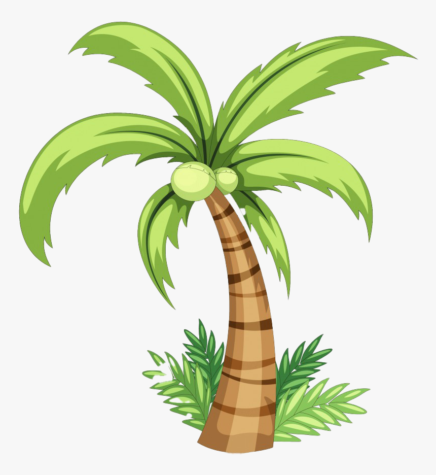 Long Coconut Tree Png Free Download - Coconut Tree Drawing Easy, Transparent Png, Free Download