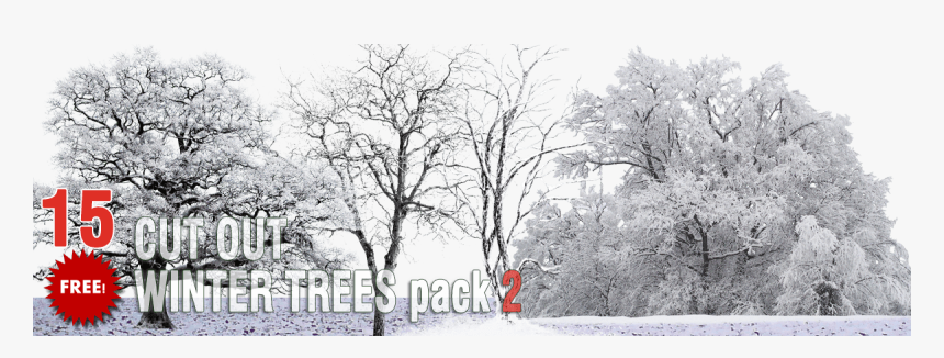 Free Winter Trees Png Pack - Winter Trees Snow Png, Transparent Png, Free Download