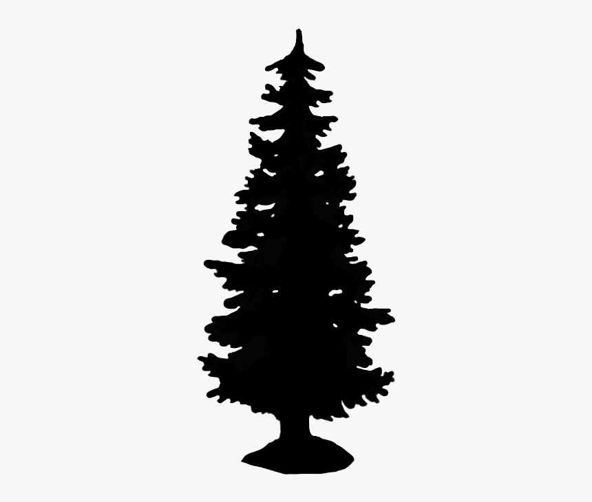 Tall Spruce Silhouette - Evergreen Tree Silhouette Png, Transparent Png, Free Download