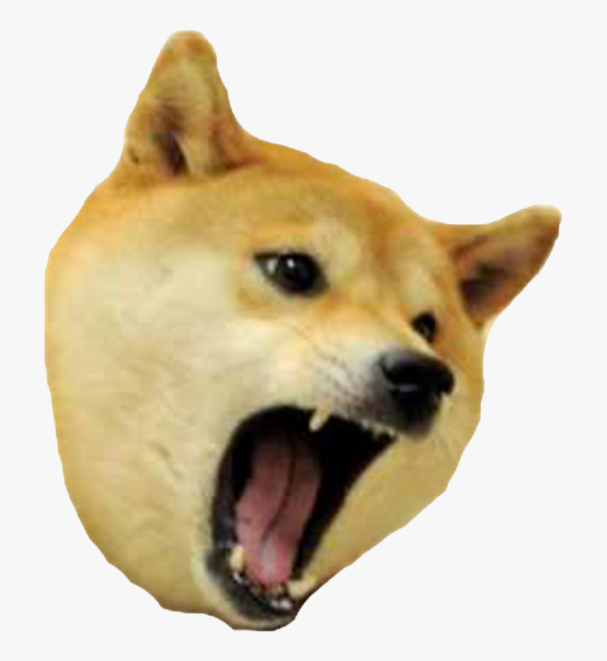 Doge Meme Png Picture - Angry Dog Meme Template, Transparent Png, Free Download