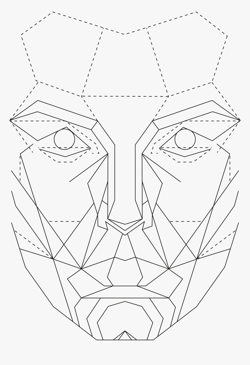 The Golden Ratio In Graphic - Female Golden Ratio Face Png, Transparent Png, Free Download