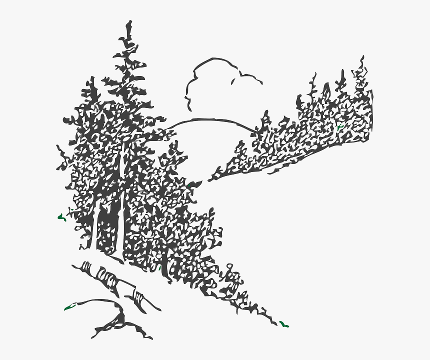 Black And White Clipart Of Pine Tree Forest, HD Png Download, Free Download