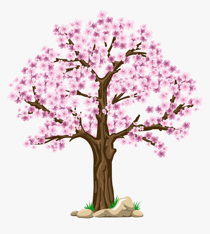 Transparent Tree Clipart Png - Cherry Blossom Tree Clipart, Png Download, Free Download