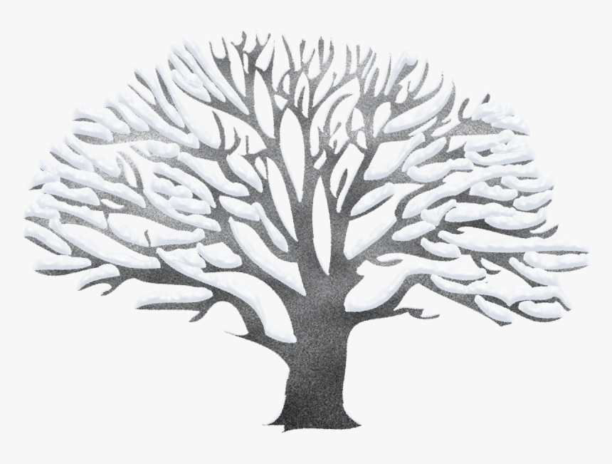 Transparent Winter Clipart - Winter Tree Clipart Png, Png Download, Free Download