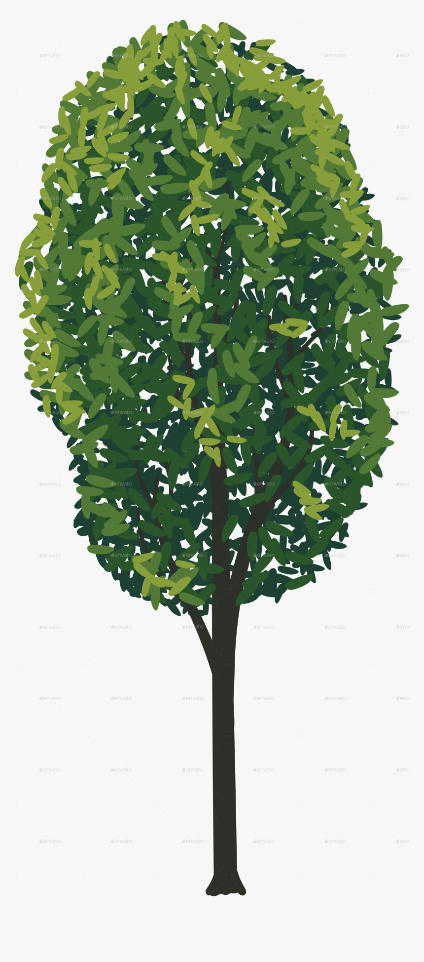 Transparent Tulip Tree Png - American Holly, Png Download, Free Download