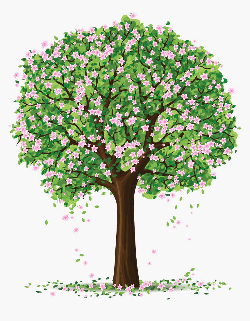 Spring Tree Png Art Picture - Clip Art Spring Tree, Transparent Png, Free Download