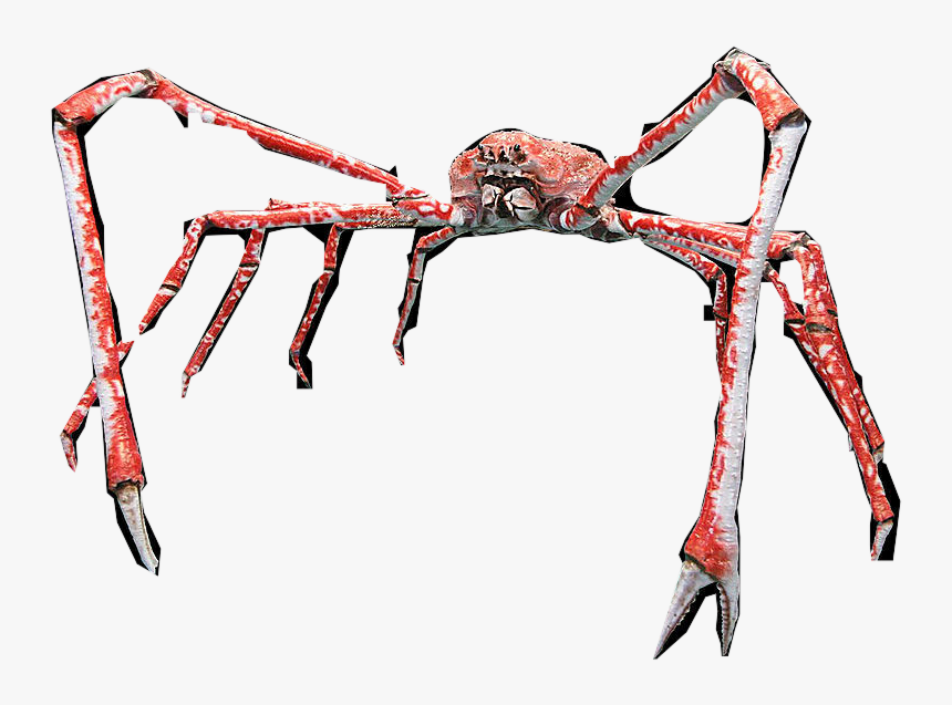 Japanese Spider Crab Clipart, HD Png Download, Free Download