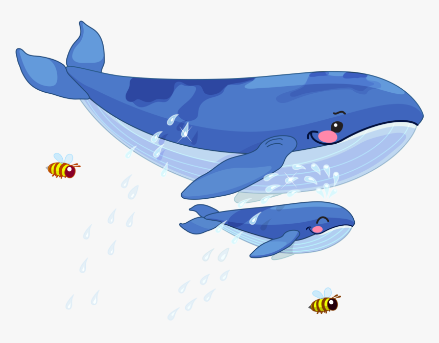 Transparent Whale Big Fish - 小 鯨魚, HD Png Download, Free Download