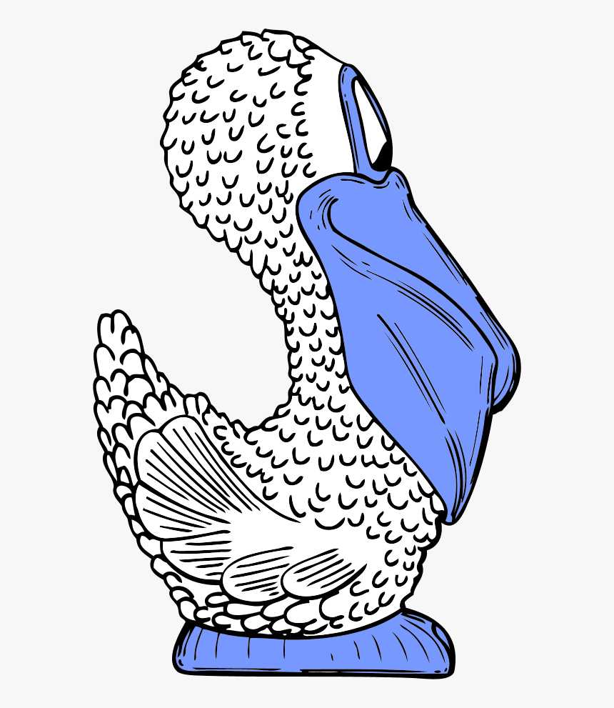 Bird Pelican Comic Cartoon - Pelican, HD Png Download, Free Download