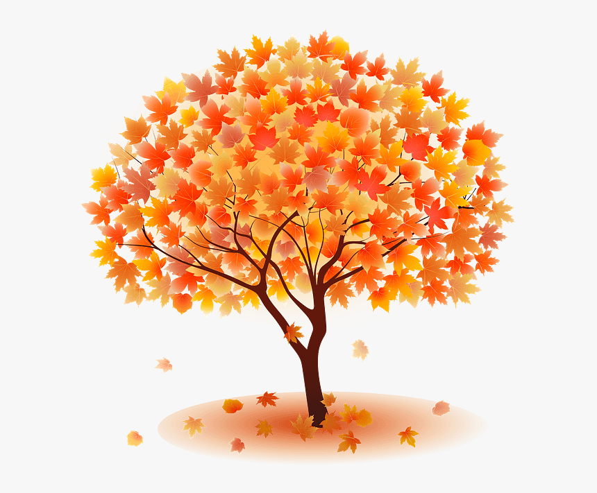 Autumn Tree, HD Png Download, Free Download