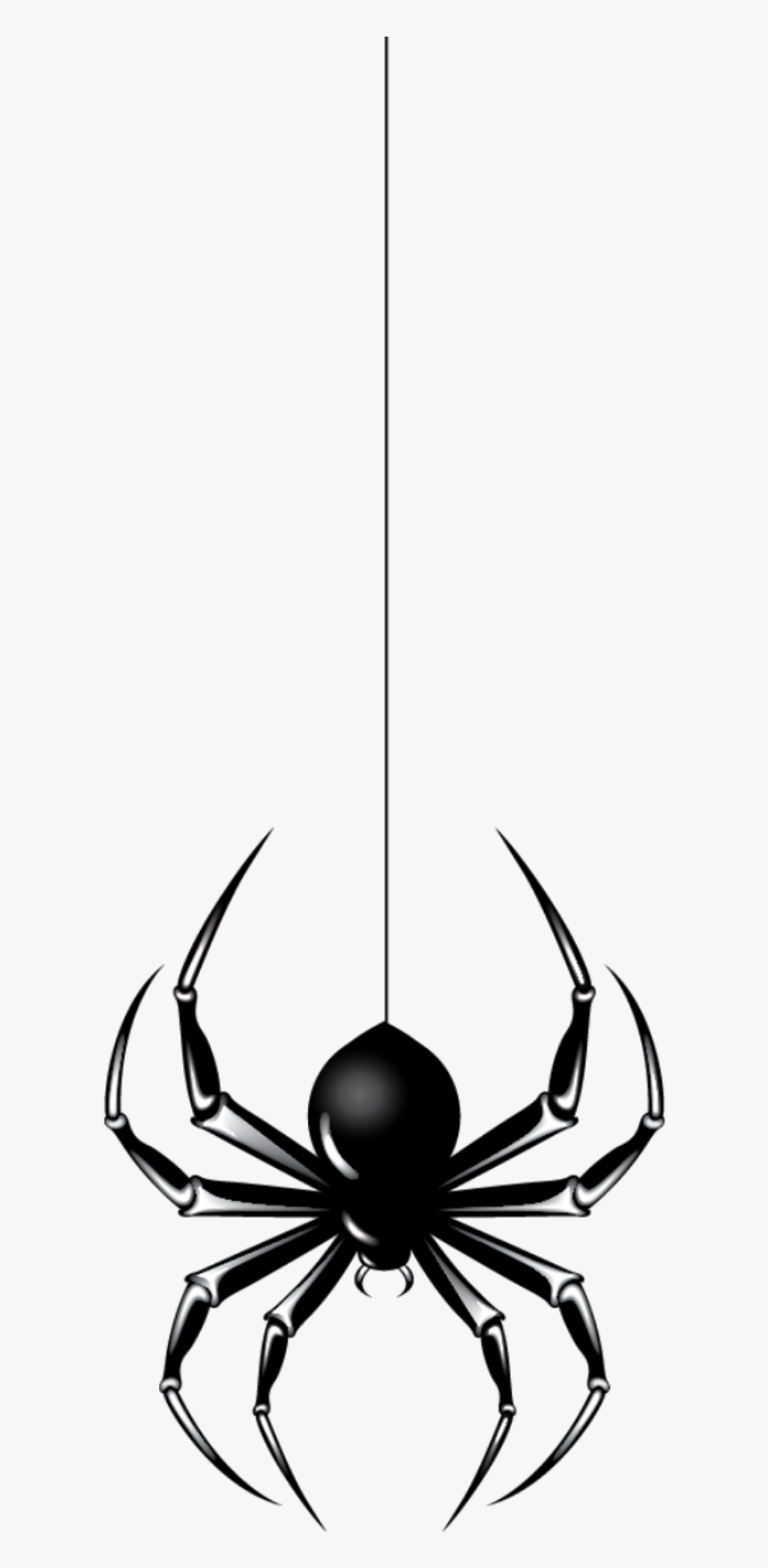 #mq #spider #hanging #black - Insect, HD Png Download, Free Download