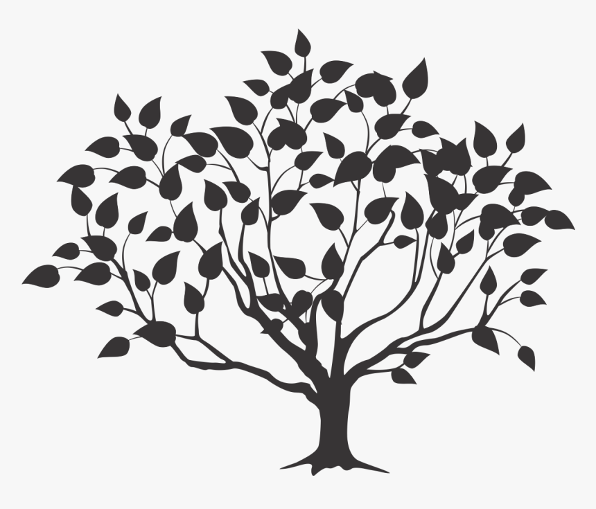 Root Tree Drawing - Tree With Roots Designs, HD Png Download, Free Download