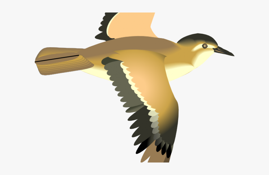 Sea Bird Clipart 3 Bird - Flying Bird Clip Art, HD Png Download, Free Download