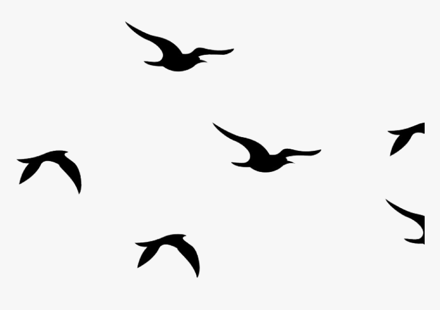 Flying Bird Png High Quality Image - Flying Bird Png Picsart, Transparent Png, Free Download