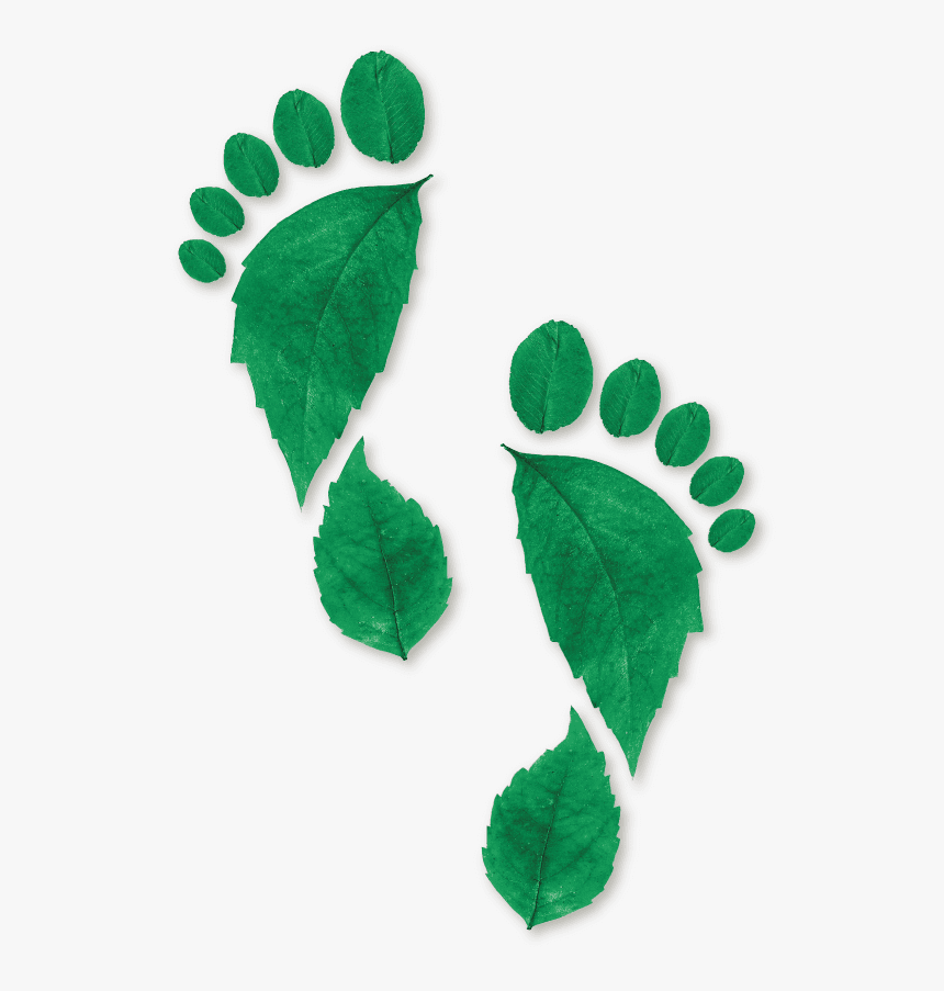 Blue Baby Footprint Png, Transparent Png, Free Download