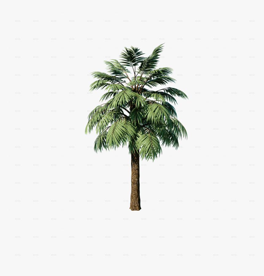 Transparent 3d Palm Tree Png, Png Download, Free Download