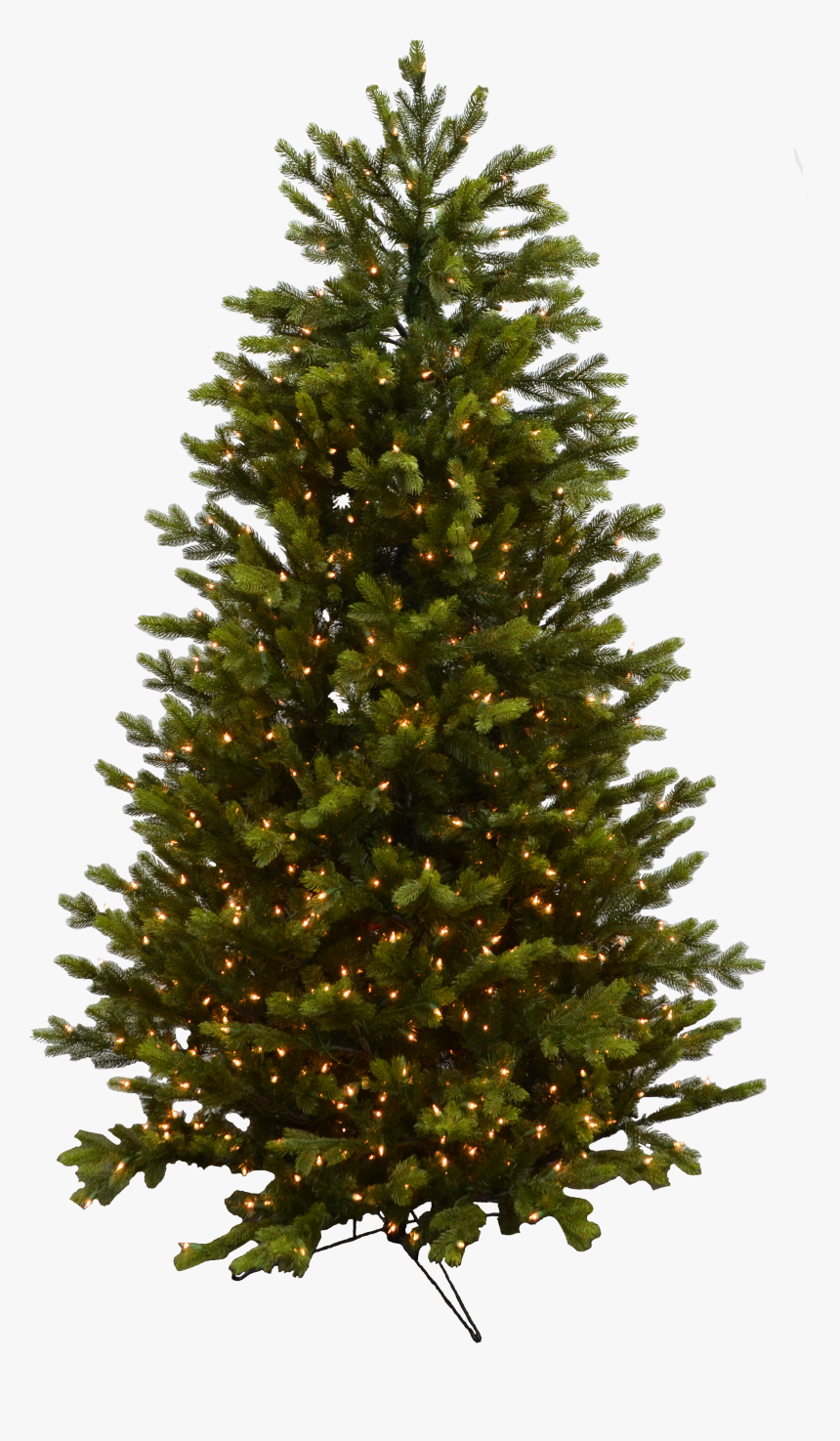 Evergreen Branch Png , Png Download - Christmas Tree, Transparent Png, Free Download