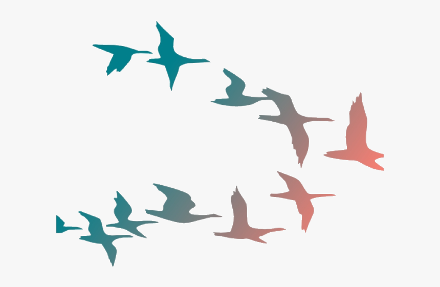 Bird Flying Birds Clipart Flock Of Cartoon Transparent - Colorful Flying Birds Png, Png Download, Free Download