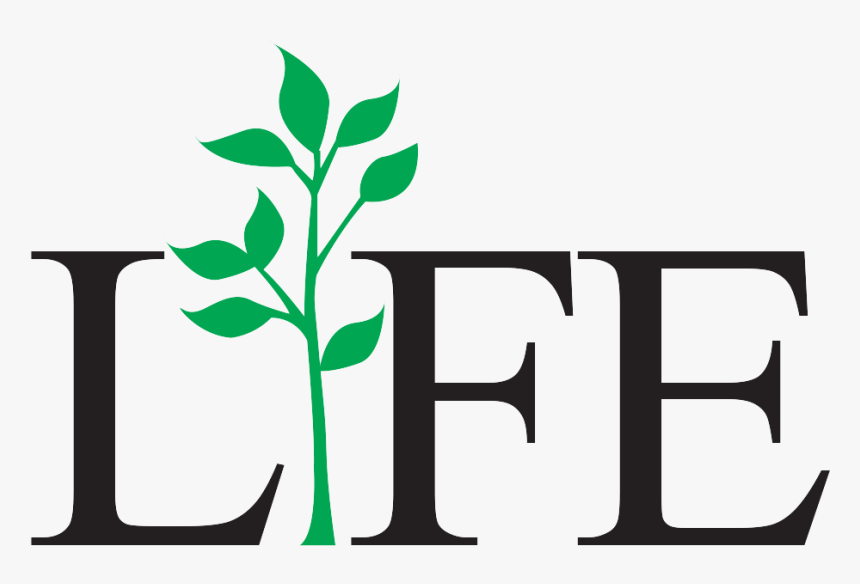 Life Png Photo - Financial Times, Transparent Png, Free Download