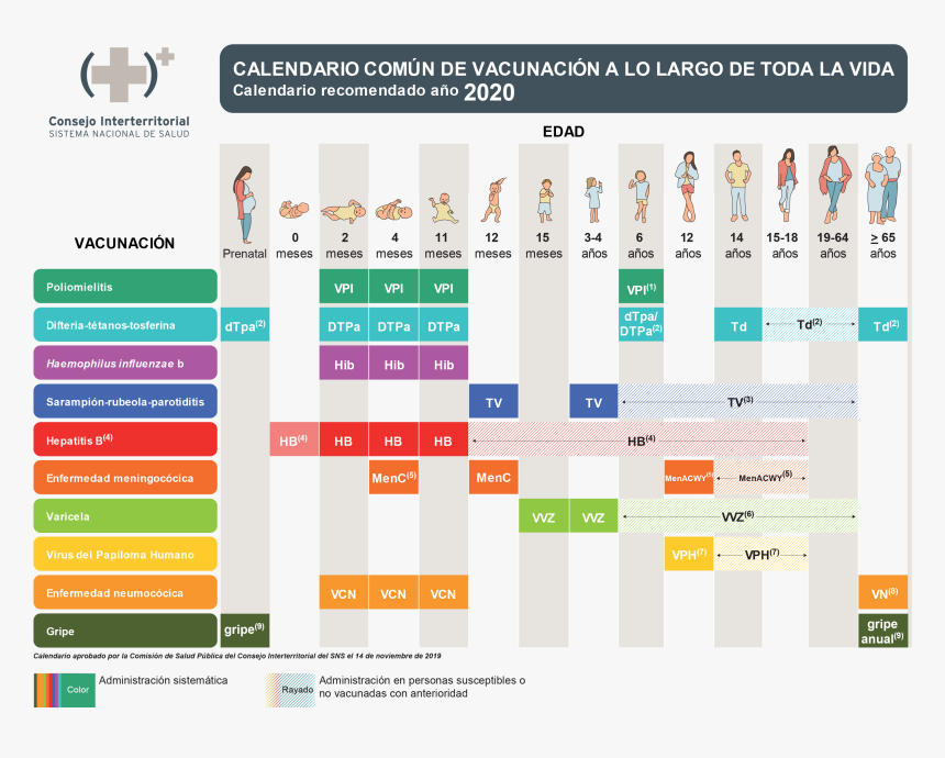 Calendario Común De Vacunación A Lo Largo De Toda La - Calendario De Vacunacion 2020, HD Png Download, Free Download