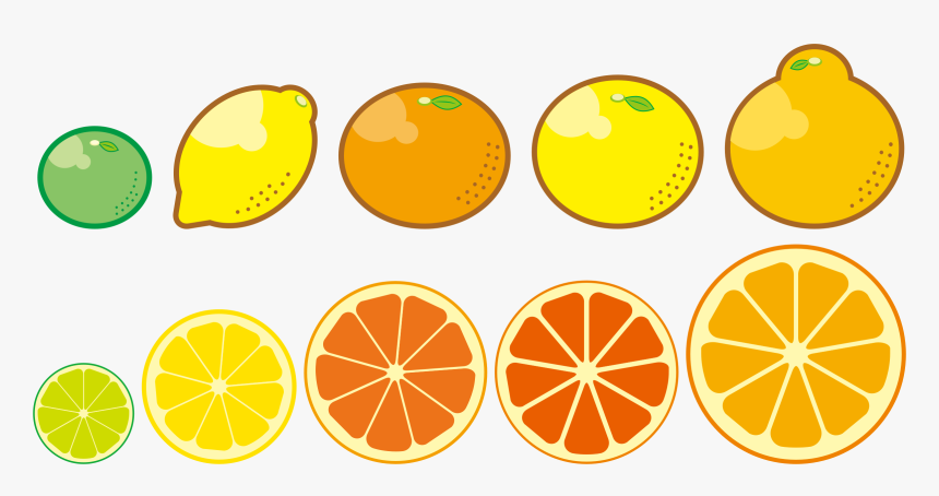 Fruits Big Image Png - Citrus Trees Clip Art, Transparent Png, Free Download