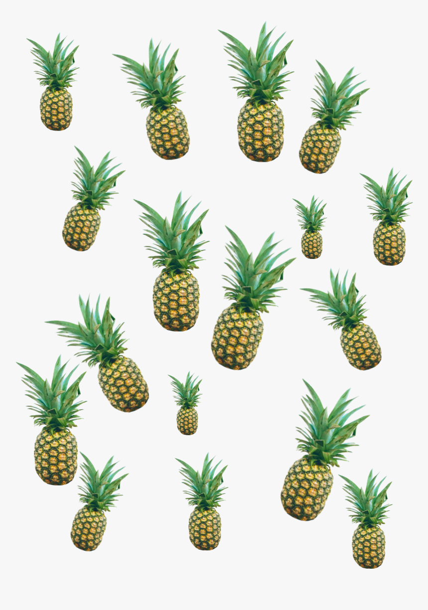 #pineapple #pineapples #pineapples #pineapple🍍 #pinapple - Pineapple, HD Png Download, Free Download